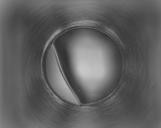 X0000054371180200507290823
