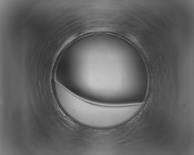 X0000054371181200507290823
