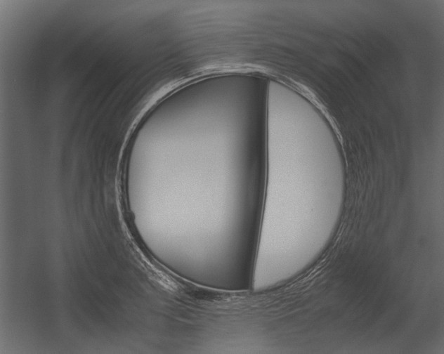 X0000054371187200507290823