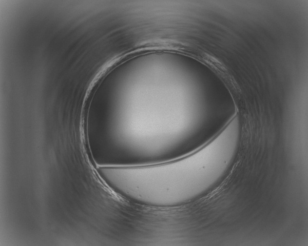 X0000054371188200507290823