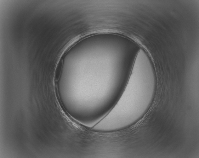 X0000054371189200507290823