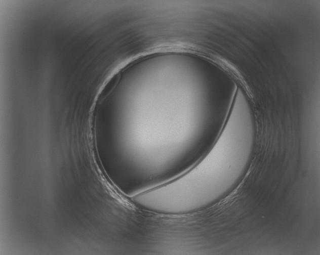X0000054371192200507290823