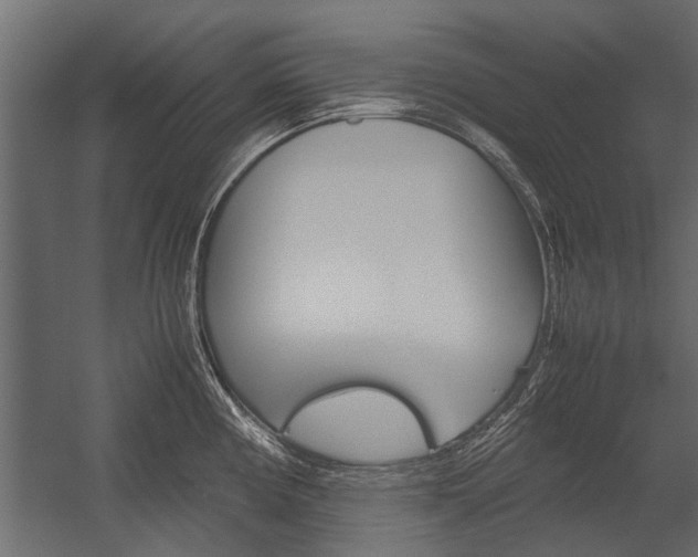 X0000054371194200507290823