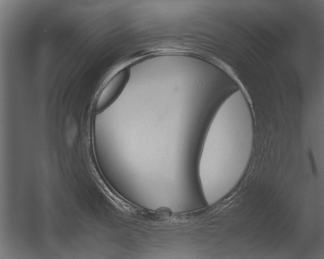X0000054371195200507290823