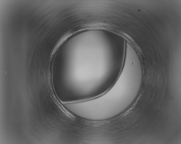 X0000054371196200507290823