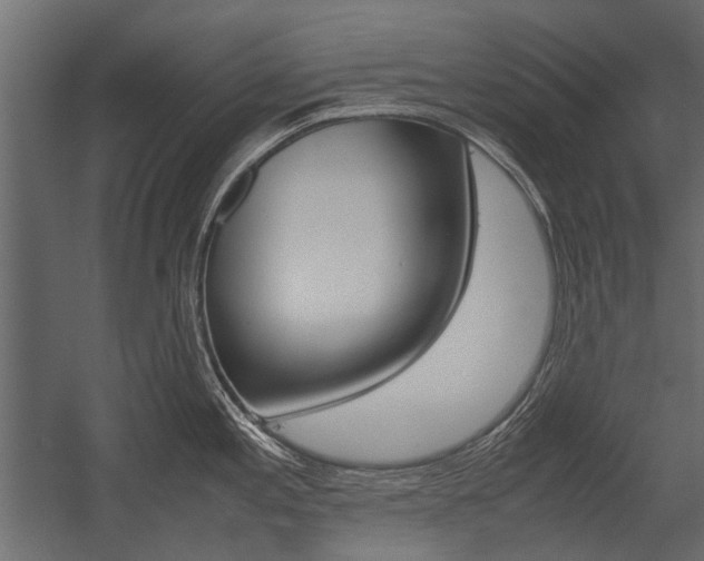 X0000054371197200507290823