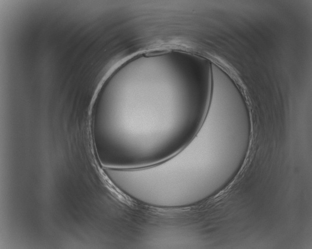 X0000054371200200507290823