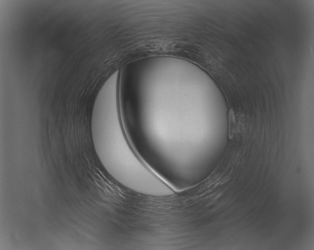X0000054371202200507290822