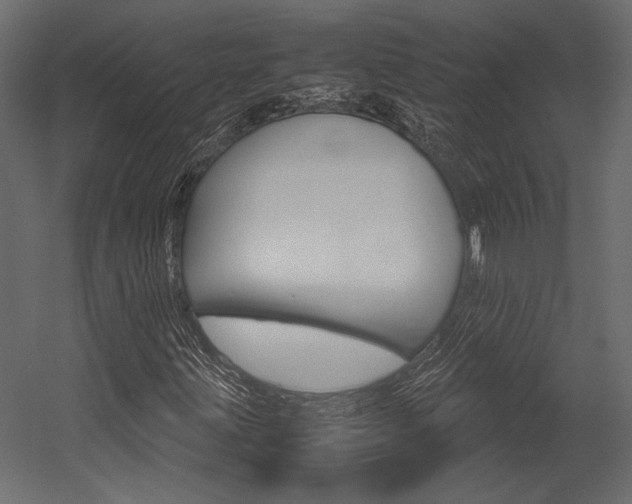 X0000054371203200507290822