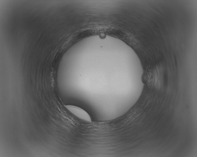 X0000054371204200507290822