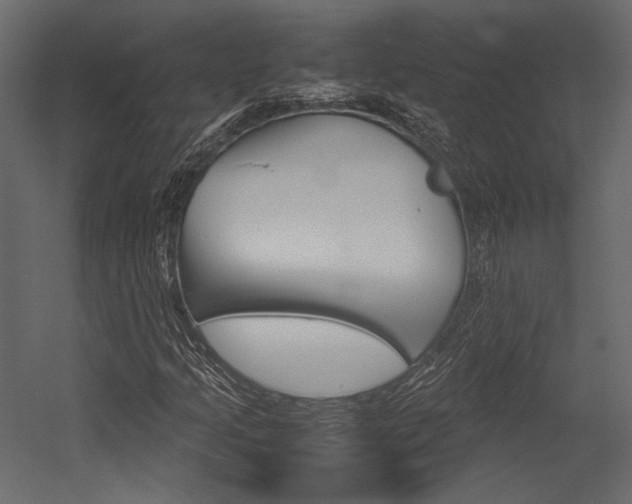 X0000054371205200507290822