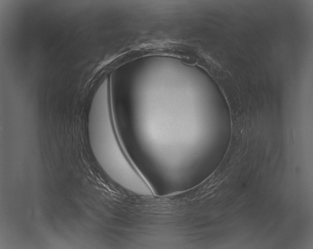 X0000054371206200507290822
