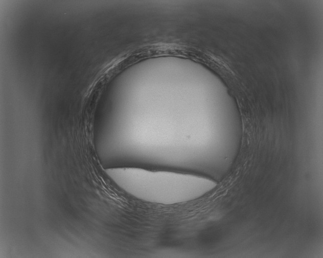 X0000054371207200507290822