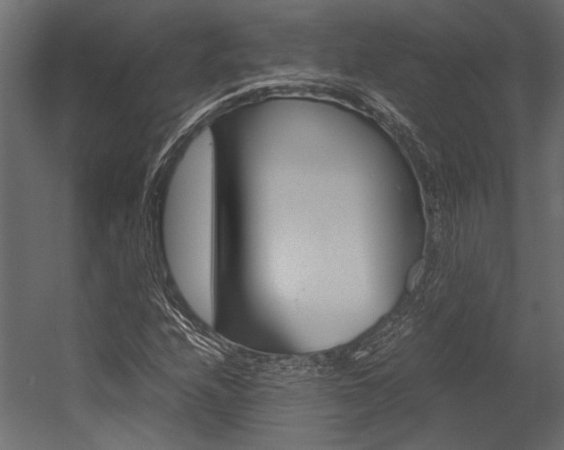 X0000054371208200507290822