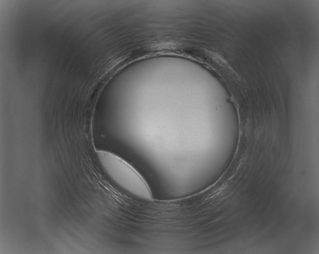 X0000054371209200507290822