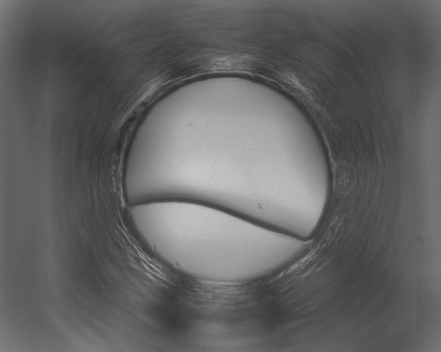X0000054371211200507290822