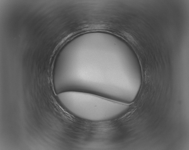 X0000054371212200507290822