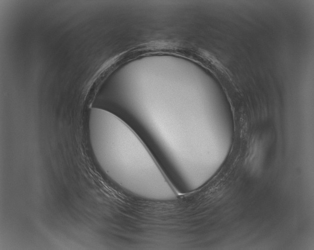 X0000054371213200507290822