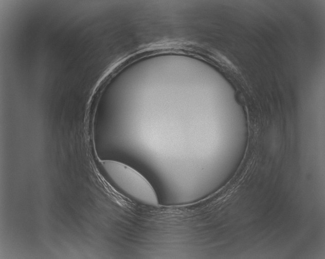 X0000054371216200507290822