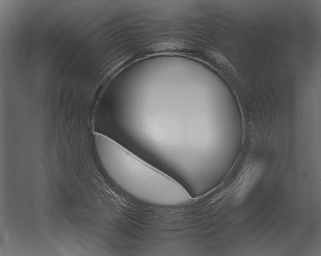 X0000054371217200507290822