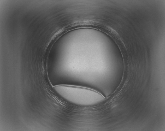 X0000054371218200507290822