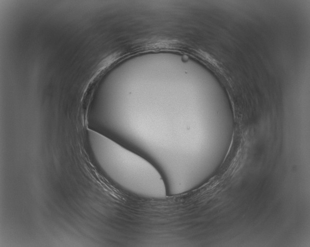 X0000054371219200507290822