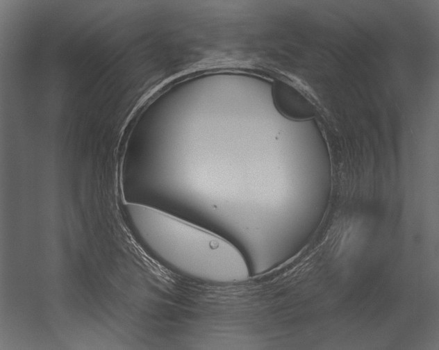 X0000054371220200507290822
