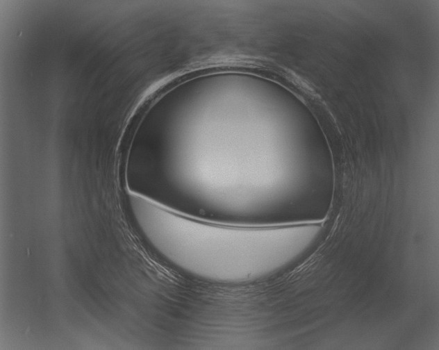 X0000054371222200507290822