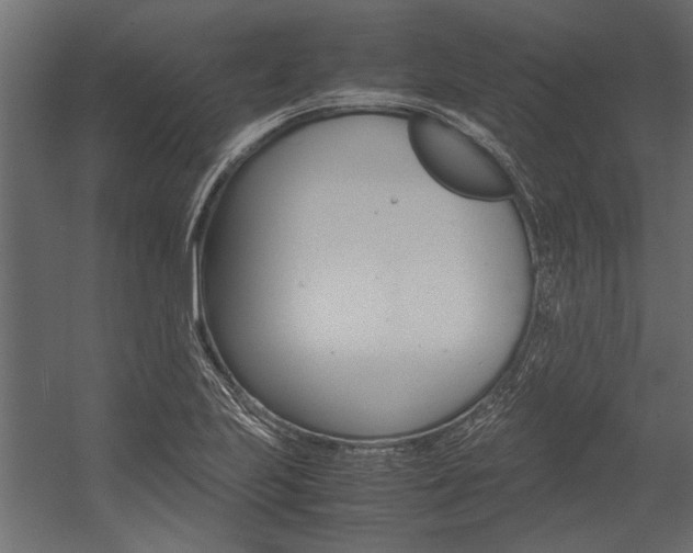 X0000054371223200507290822