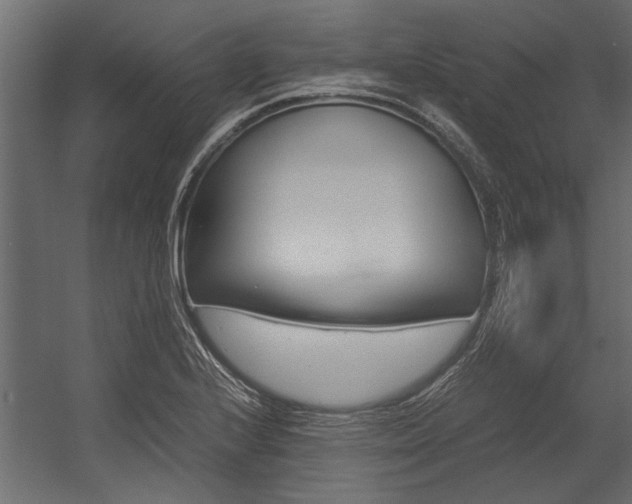 X0000054371224200507290822