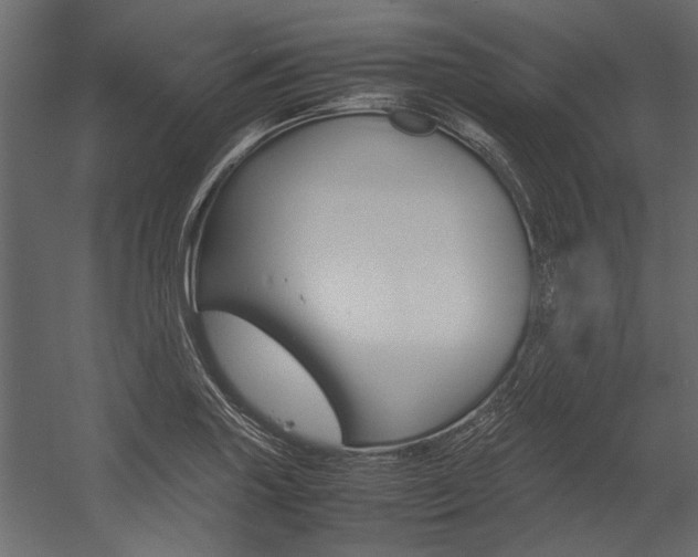 X0000054371227200507290822