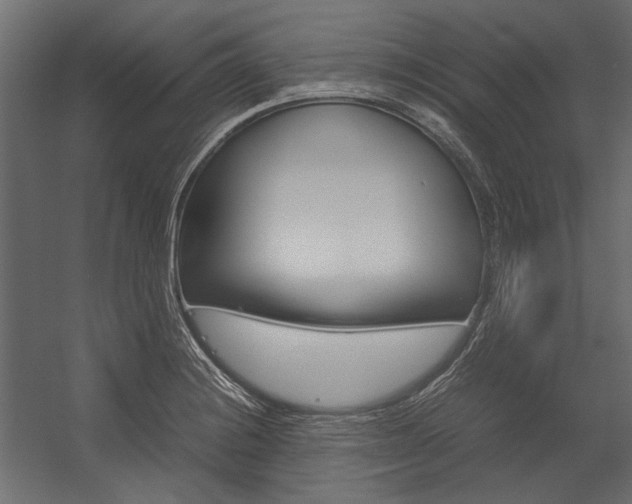 X0000054371228200507290822