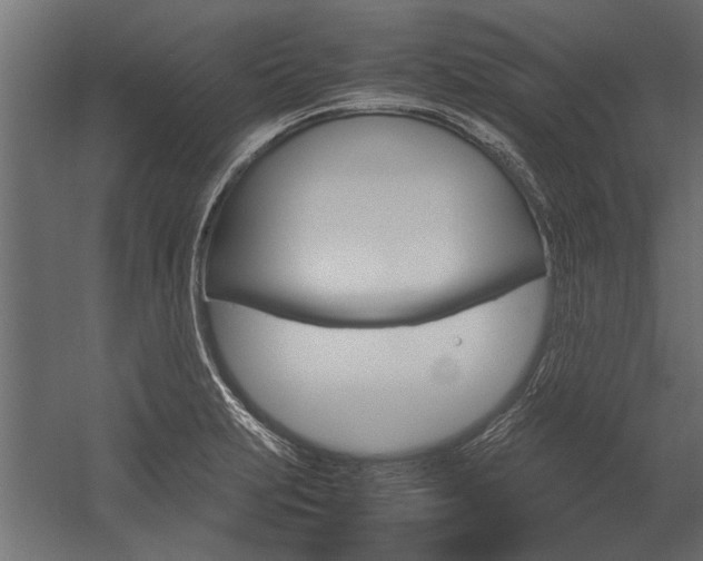 X0000054371231200507290822
