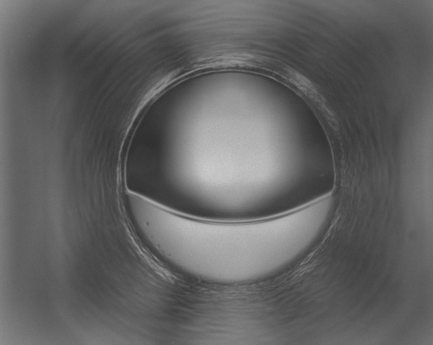 X0000054371234200507290822