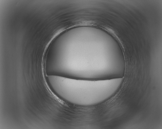 X0000054371235200507290822