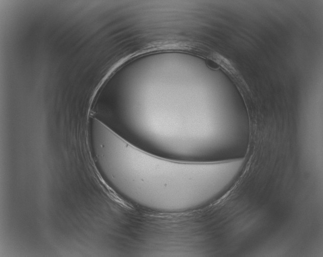 X0000054371236200507290822