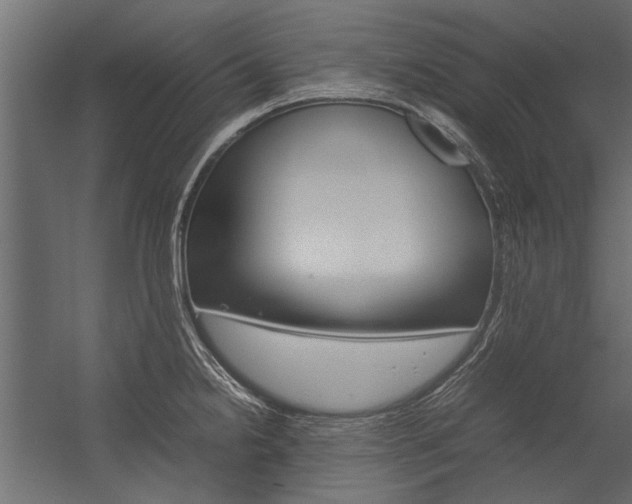 X0000054371238200507290822
