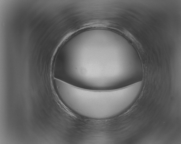 X0000054371240200507290822