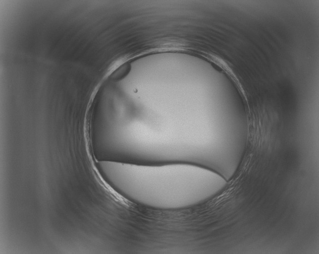 X0000054371243200507290822