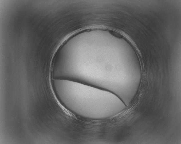 X0000054371245200507290822