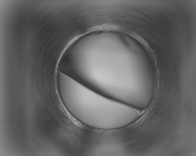 X0000054371248200507290823