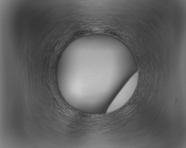 X0000054371249200507290822