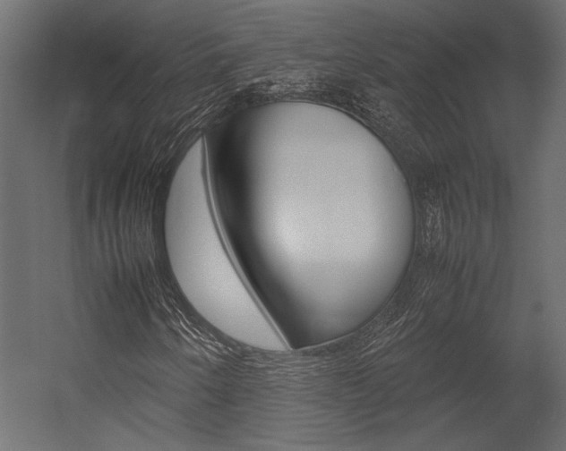 X0000054371250200507290822