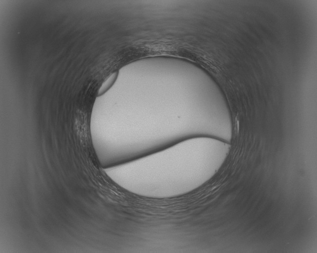 X0000054371251200507290822