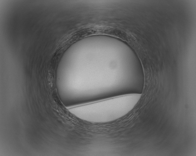 X0000054371253200507290822