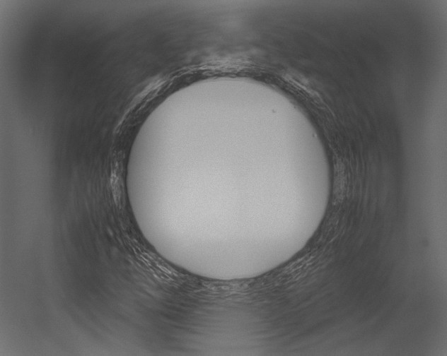 X0000054371254200507290822