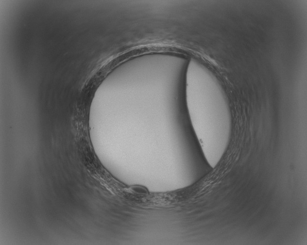 X0000054371255200507290822