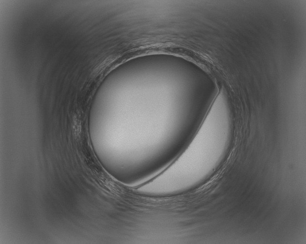 X0000054371257200507290822
