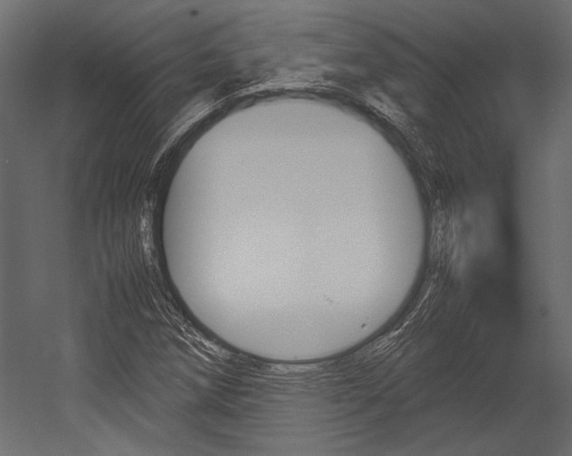 X0000054371258200507290822