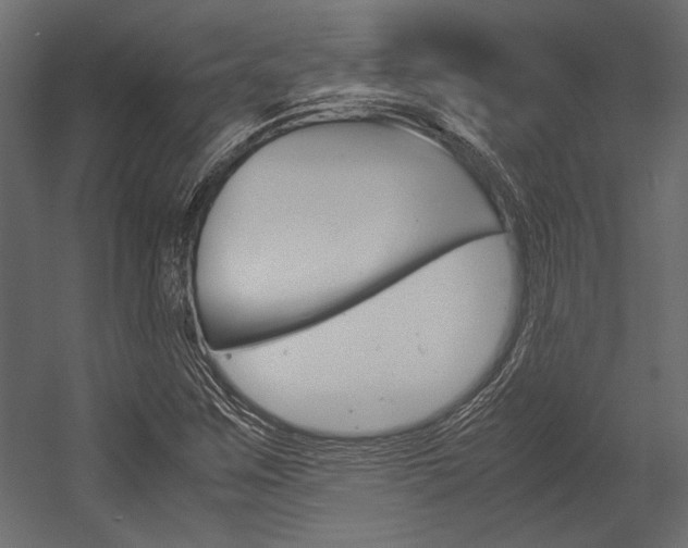 X0000054371259200507290822